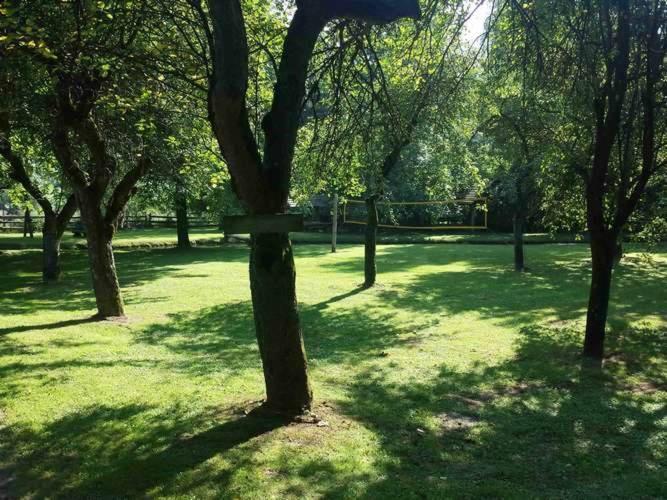 Hotel Kamp Na Otoku - Ljubno Ob Savinji Exteriér fotografie