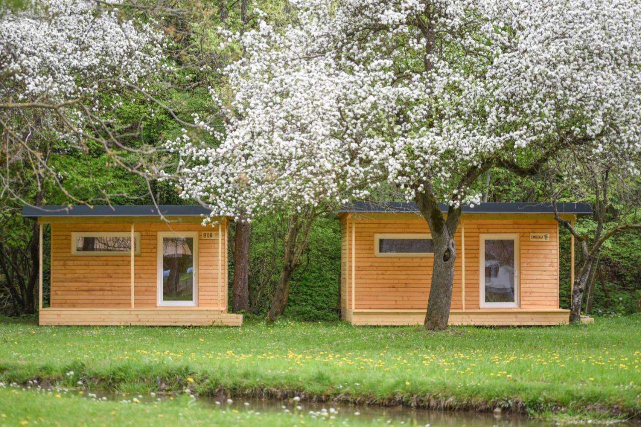Hotel Kamp Na Otoku - Ljubno Ob Savinji Exteriér fotografie