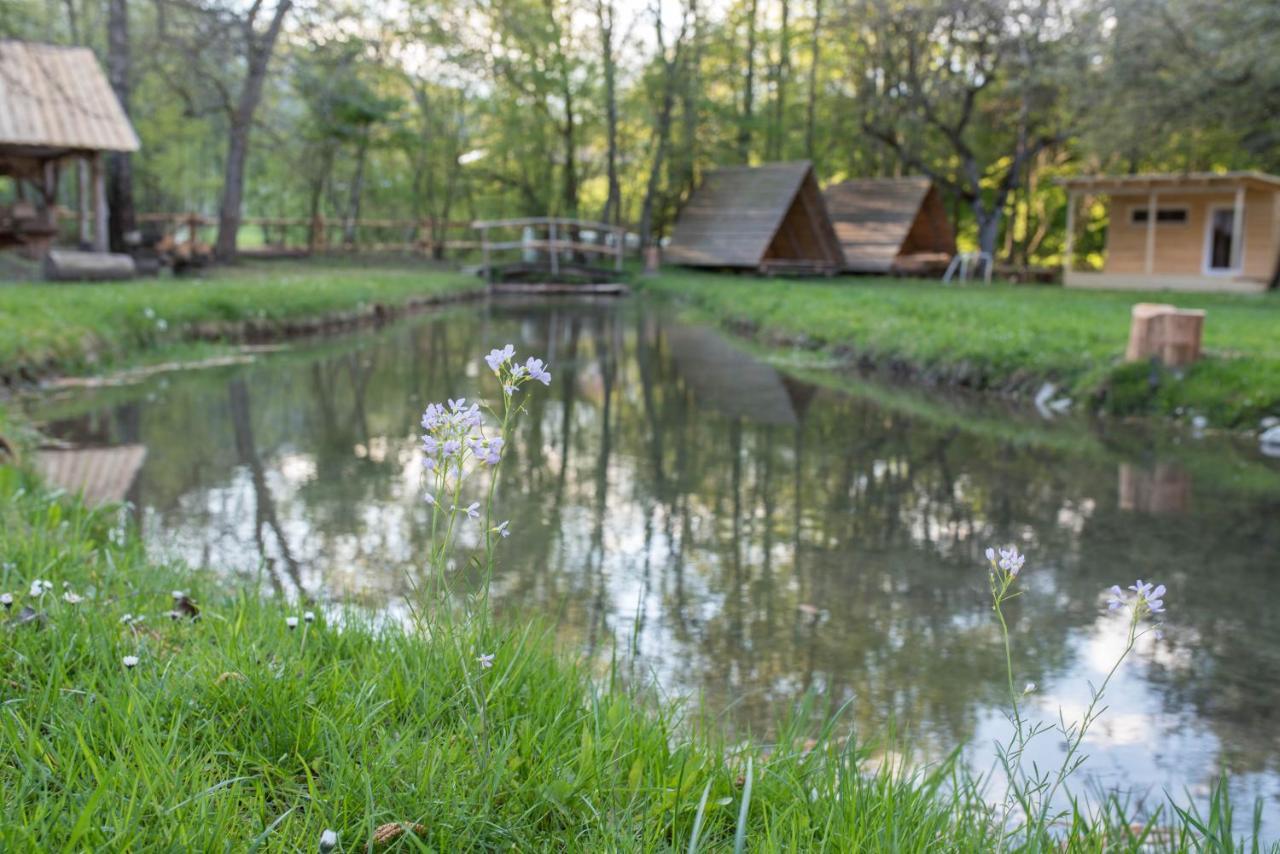 Hotel Kamp Na Otoku - Ljubno Ob Savinji Exteriér fotografie