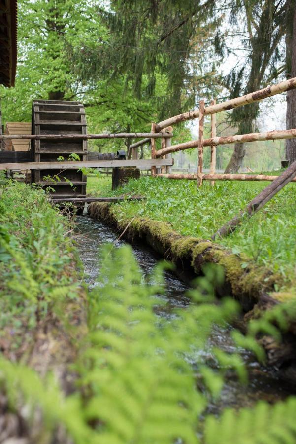 Hotel Kamp Na Otoku - Ljubno Ob Savinji Exteriér fotografie